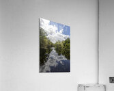 Beautiful Bayou Acrylic Print