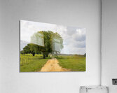 Run Forrest Acrylic Print