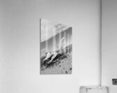 Fate Acrylic Print