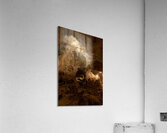 Monster in the Deep Acrylic Print