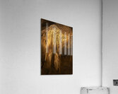 Stone Falls Acrylic Print