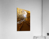 Last Daylight Acrylic Print