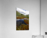 Roadside Puddle Acrylic Print