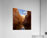Cold Mirror Acrylic Print
