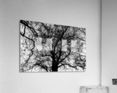 Just Look Up Impression acrylique
