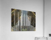 Weeping Rock Acrylic Print