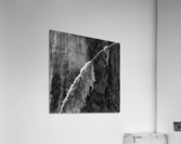 Mossy Twig Acrylic Print