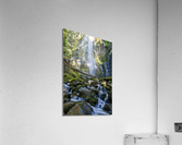 Proxy Falls Acrylic Print