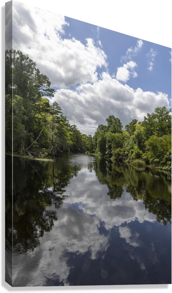 Beautiful Bayou Canvas Print