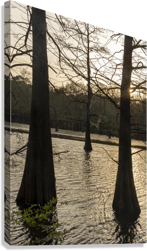 Simple Louisiana  Canvas Print