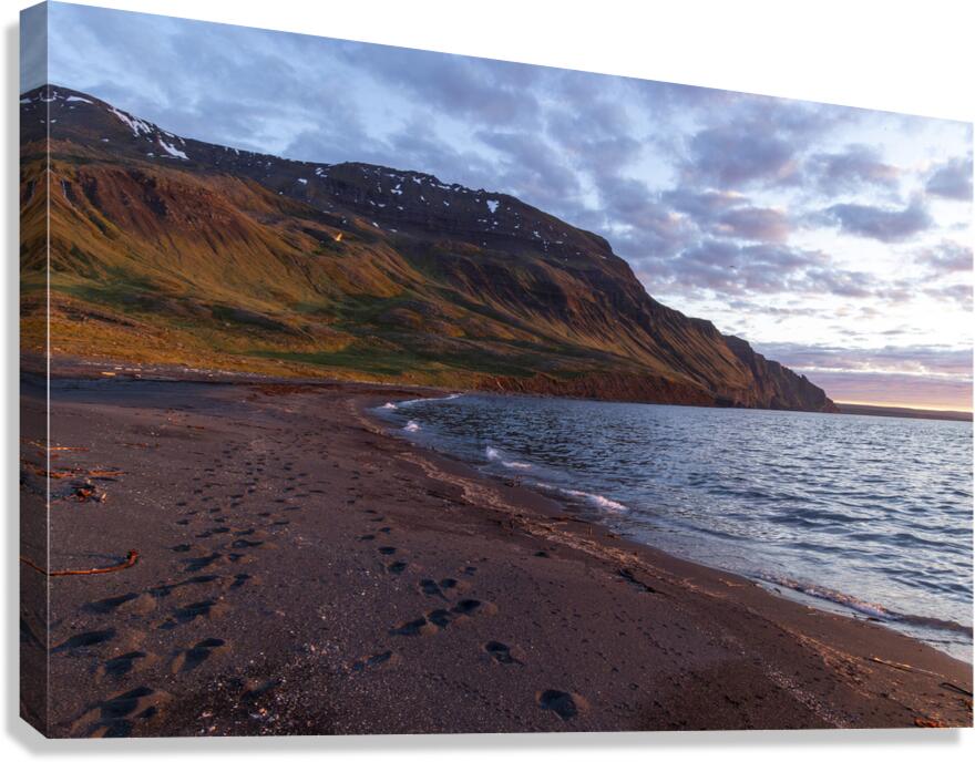 Friend on the Beach Canvas Print