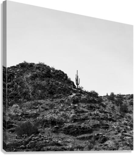 Alone on a Hill Canvas Print