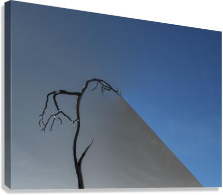 Fade to Gray Shadow Canvas Print