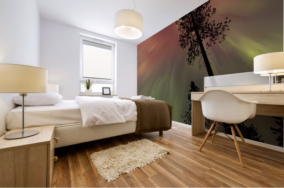 Aurora 1 Mural print