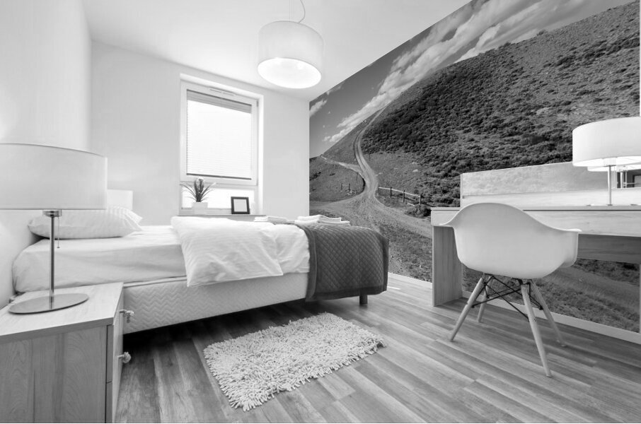 Crossing Nowhere Mural print