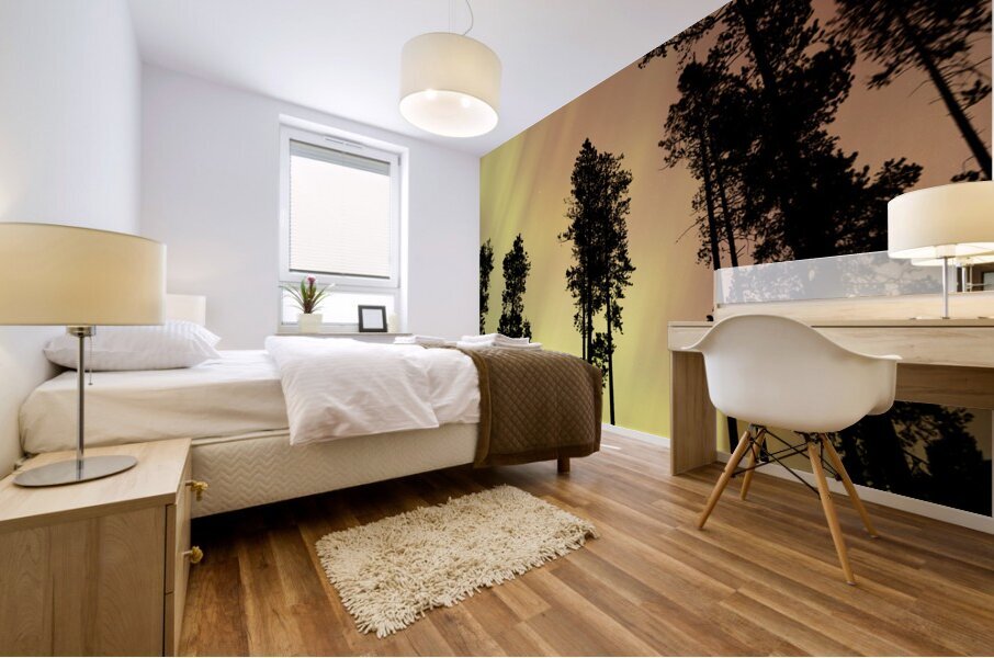 Aurora 4 Mural print