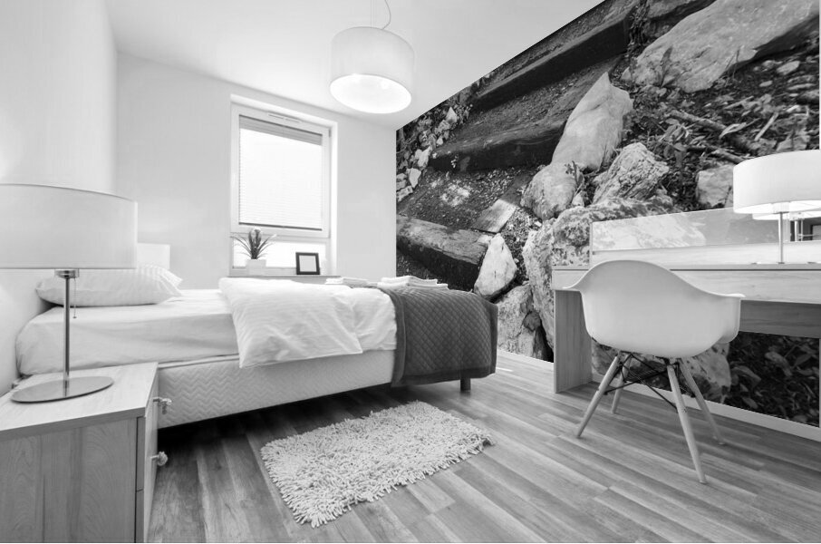 Up Mural print