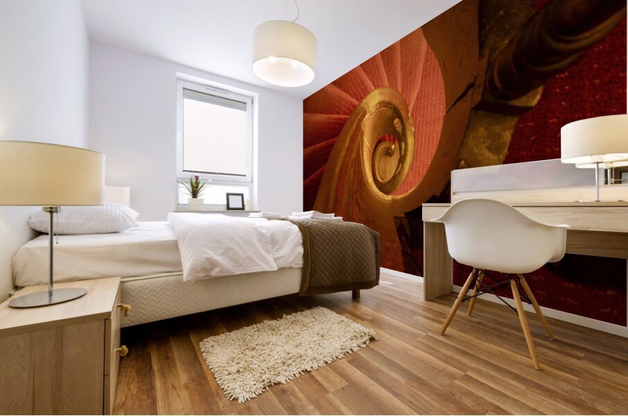 Spiral Down Mural print