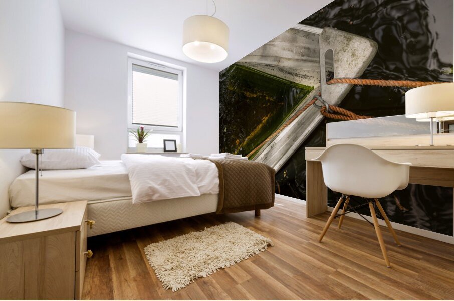 Ghost boat Mural print