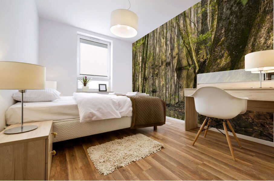 Forrest though the Trees Mural print