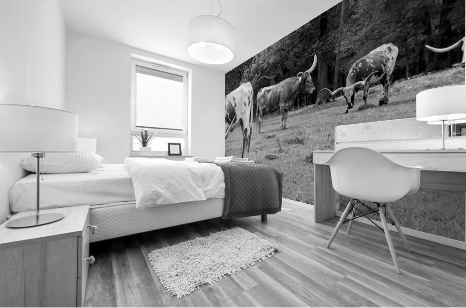 Long Horns Mural print