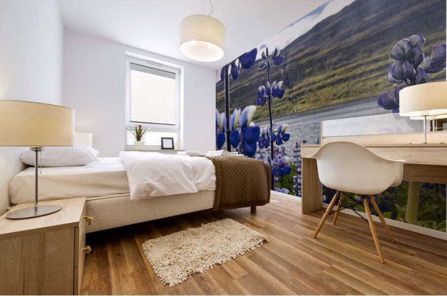 Invasive Lupine Mural print