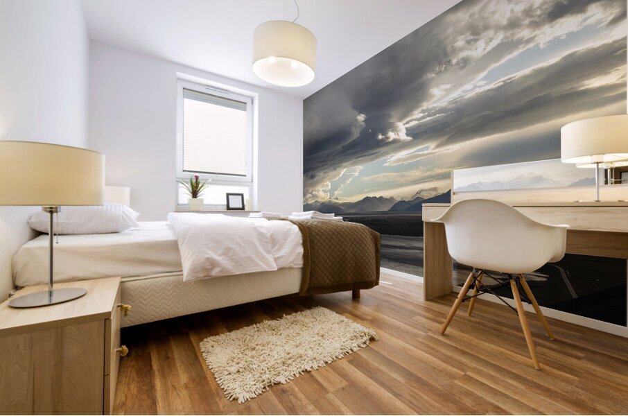 View over Hofn Mural print