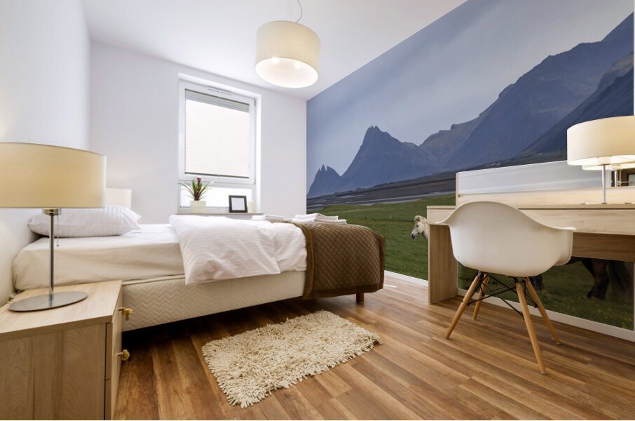 Look East Mural print