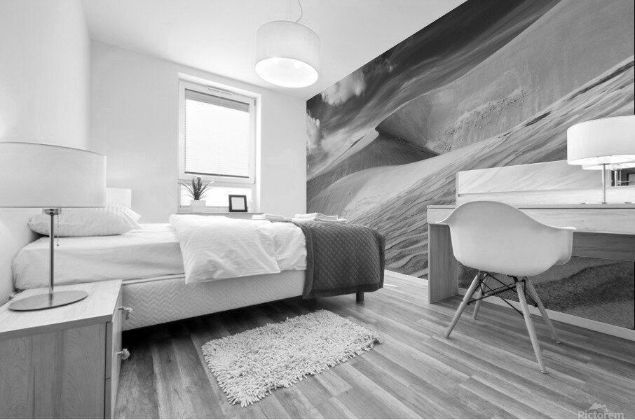 The Dunes Mural print