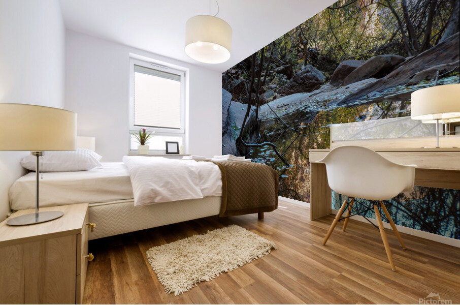 Emerald Pools Mural print