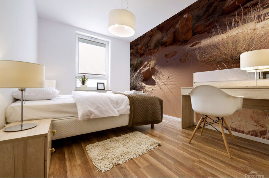 Soft Sand Mural print