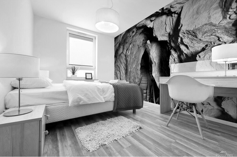 Mine Trap Mural print