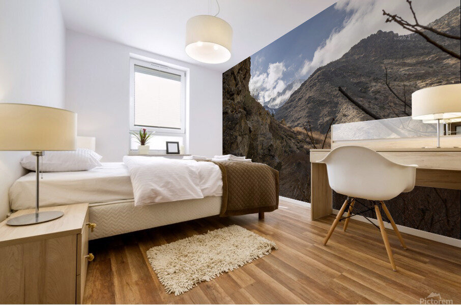 High and Dry Mural print
