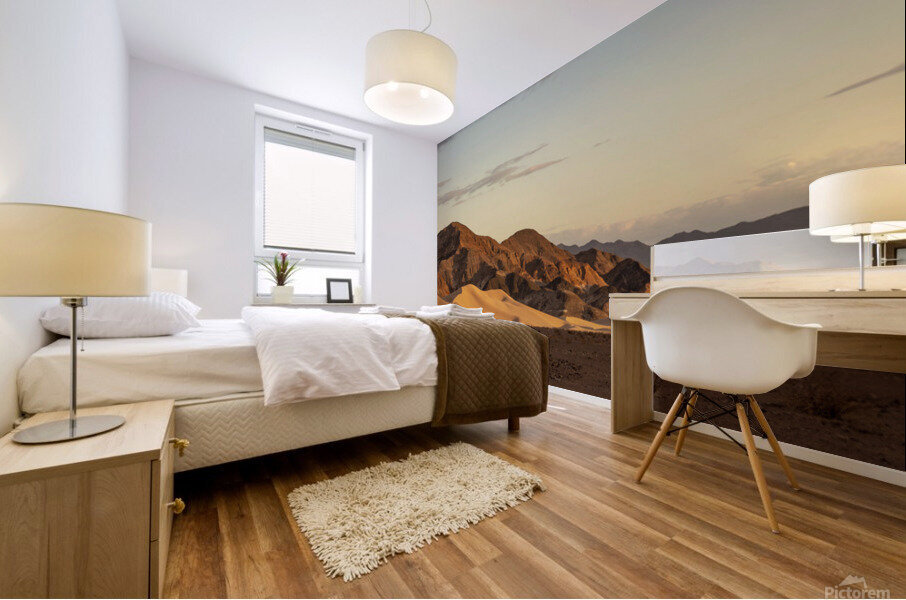 Ibex Dunes Mural print