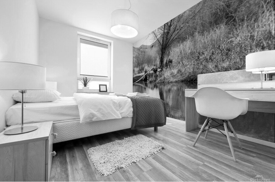 Washed Reflection Mural print