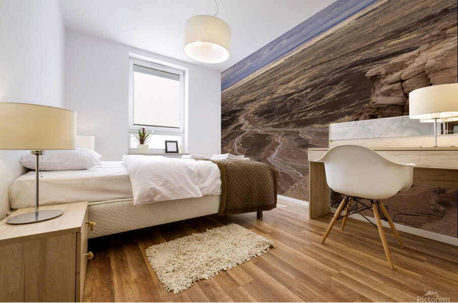 Petrified Lookout Mural print