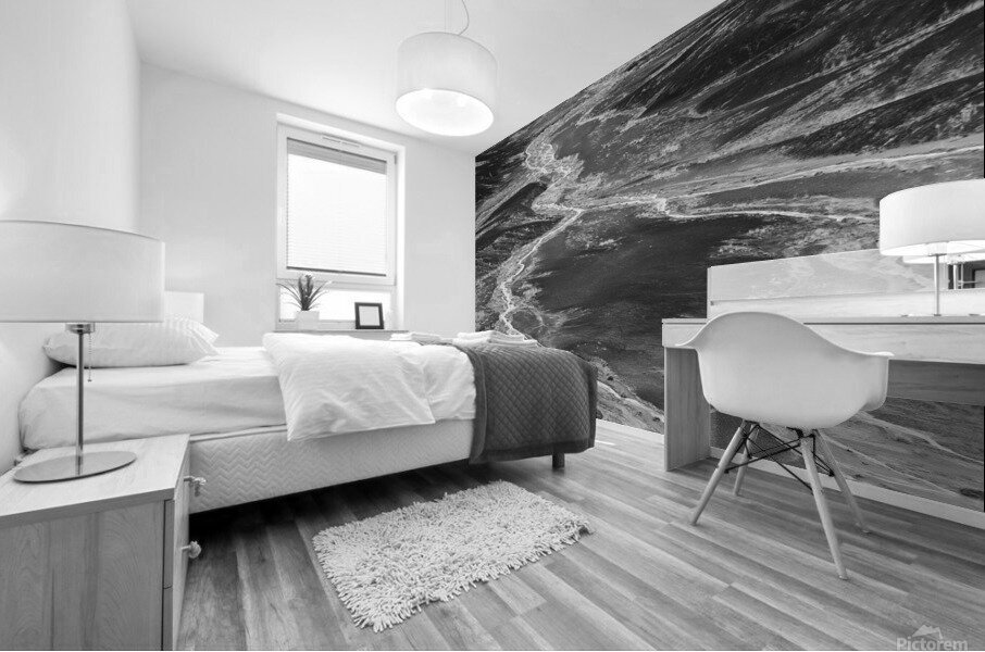 Alluvial Mural print