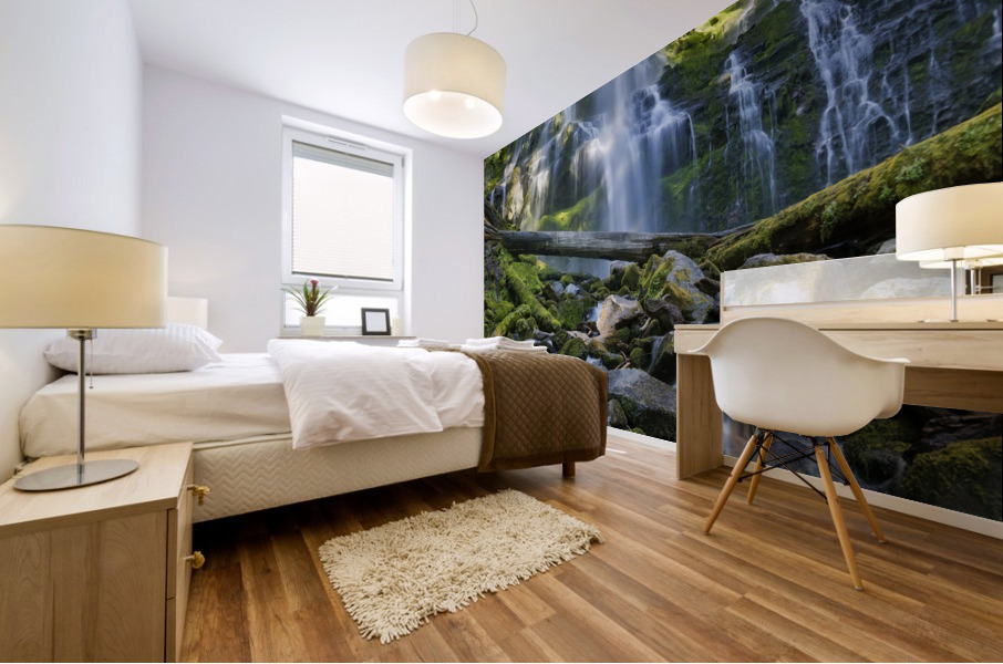 Proxy Falls Mural print