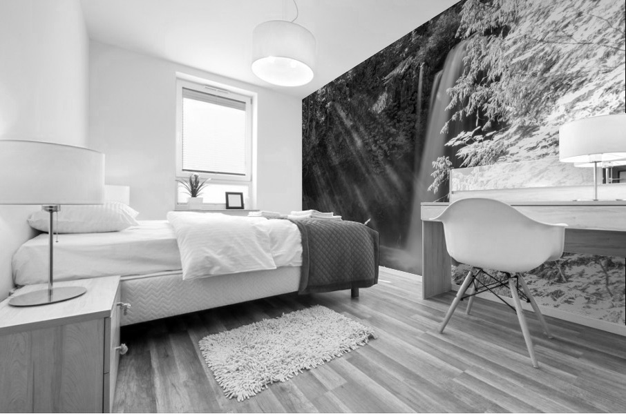 Touched by Light Mural print