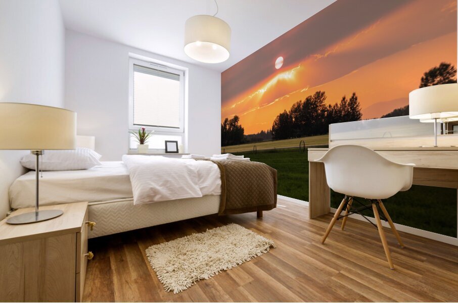 Sunset in MT Mural print