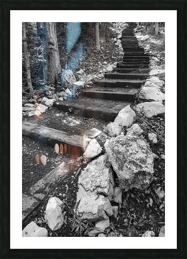 Up Picture Frame print
