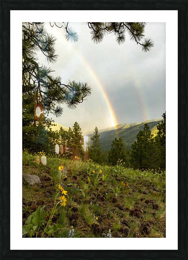MONTANA Picture Frame print