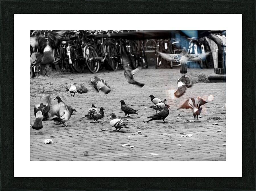 The Birds Picture Frame print