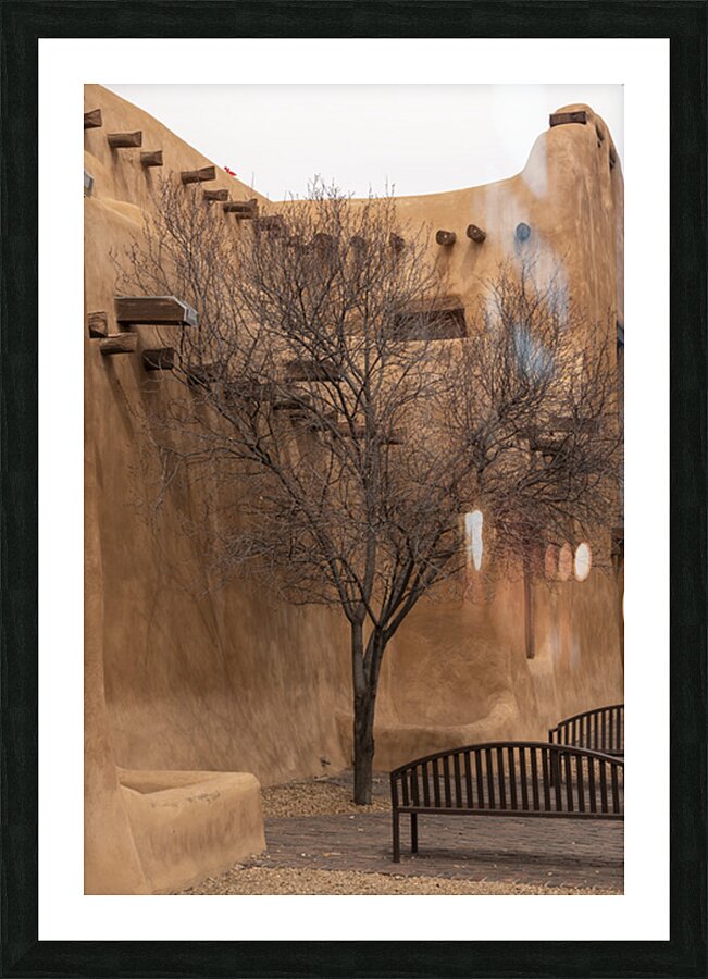 Adobe Tree Picture Frame print