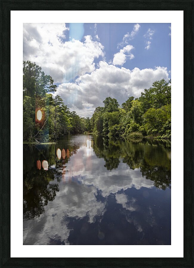 Beautiful Bayou Picture Frame print