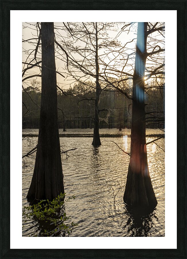 Simple Louisiana  Picture Frame print