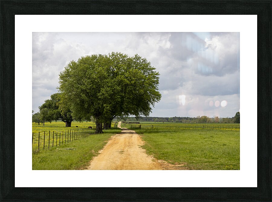 Run Forrest Picture Frame print