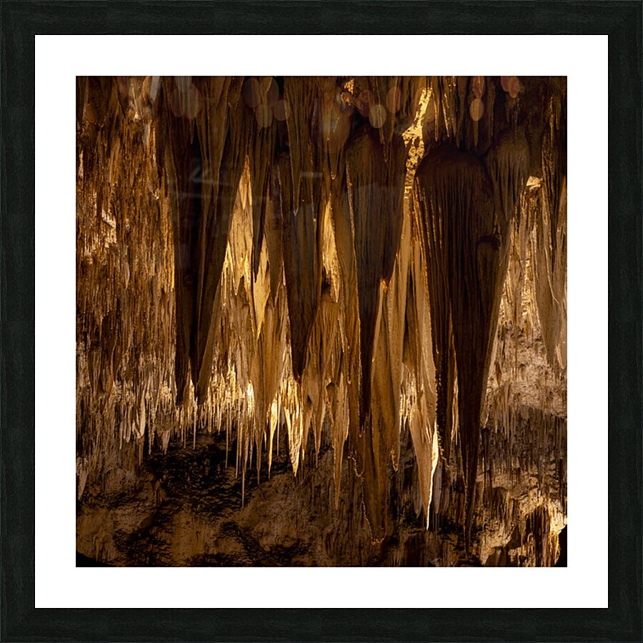 Tight Tites Picture Frame print