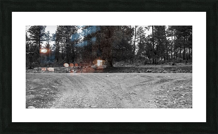 Left or Right Picture Frame print