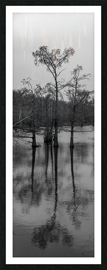 Bayou Picture Frame print